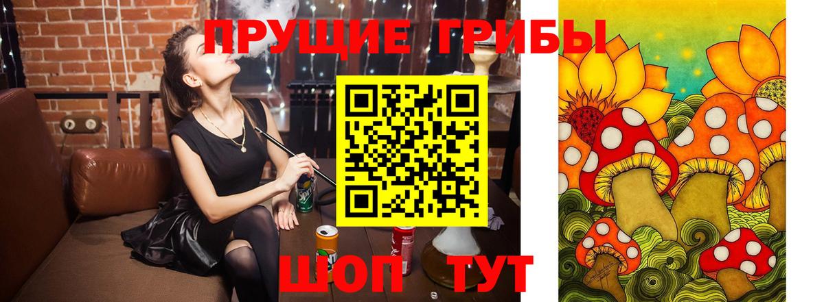Псилоцибиновые грибы Magic Shrooms  Псилоцибиновые грибы MAGIC MUSHROOMS  Сафоново  Вход с VPN 